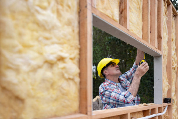 Best Basement Insulation  in Inverness Highlands North, FL